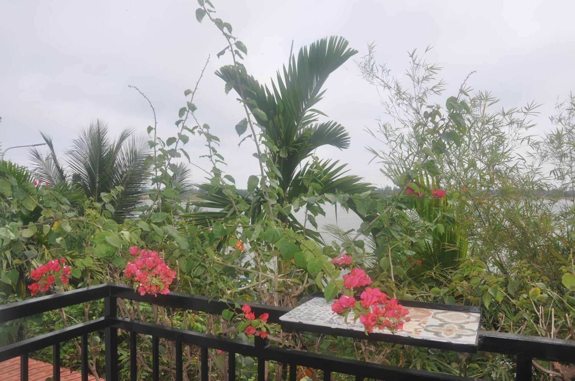 מלון Autumn Bay Retreat הוי אן מראה חיצוני תמונה